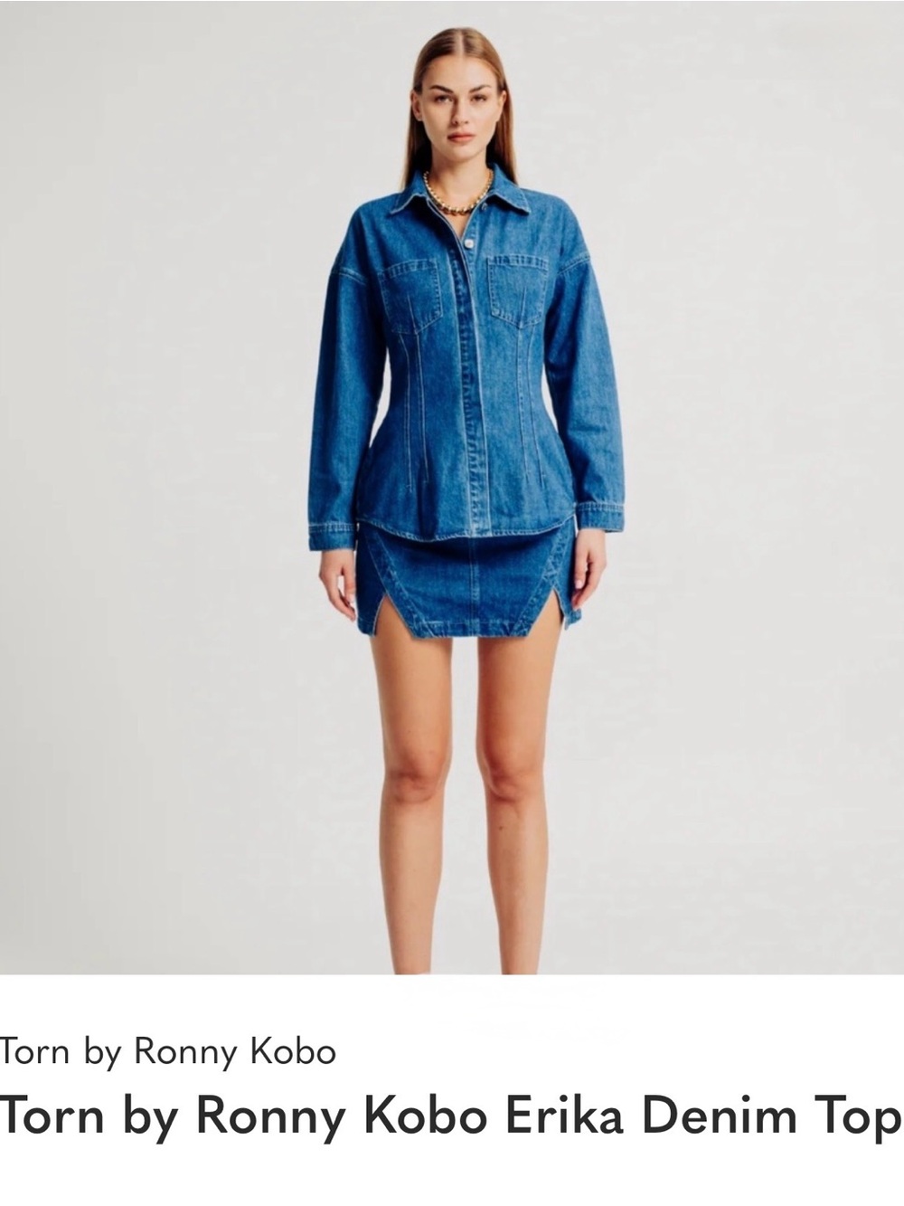Torn by Ronny Kobo Blue Denim Top